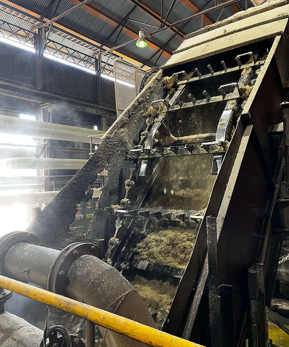 4.3 Mackay Sugar - Mill.jpg